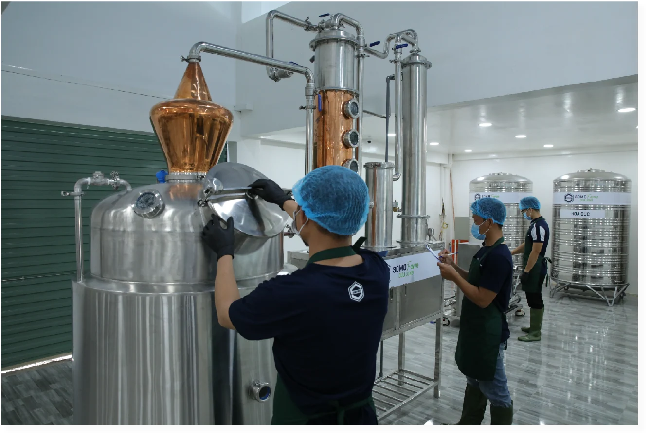 Nấu cơm nếp và phối trộn men rượu truyền thống